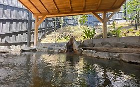 Kurasako Onsen Sakura